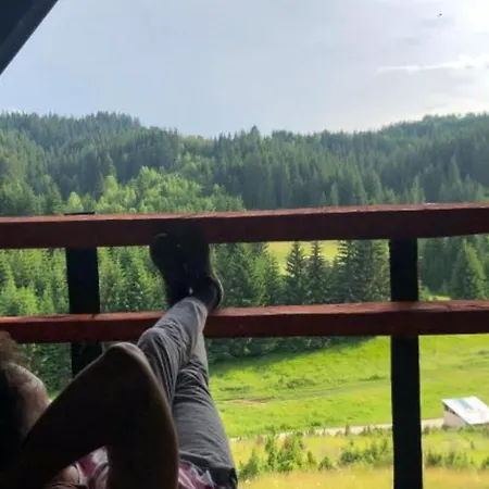 Zlodo Domek alpejski *