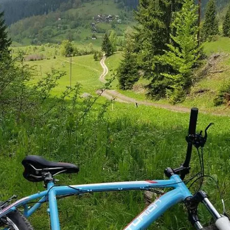 Zlodo Domek alpejski